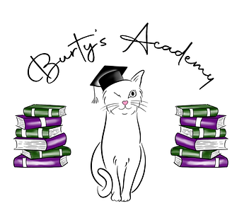 burtys_academy.png