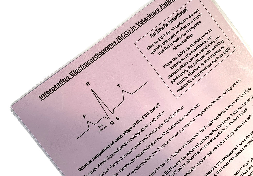 Thumbnail: Flash sale Poster guides pack in random colour