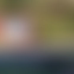 Day 49 - Sat, Nov 23 - Ville Platte to Bunkie (Louisiana)