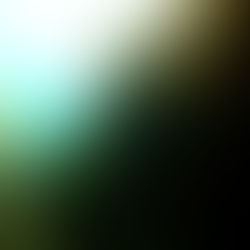 6/12【井田】ダイビングLOG