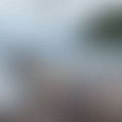 8/8【井田】ダイビングLOG