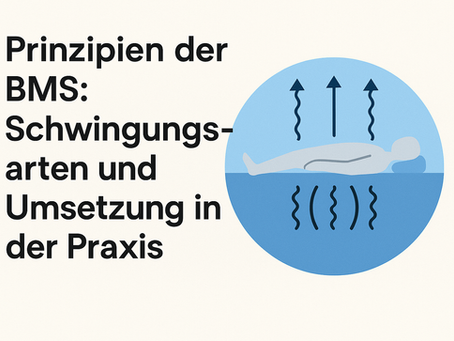 Illustration: Biomechanische Stimulation (BMS) am Rücken mit Schwingungsprinzip
