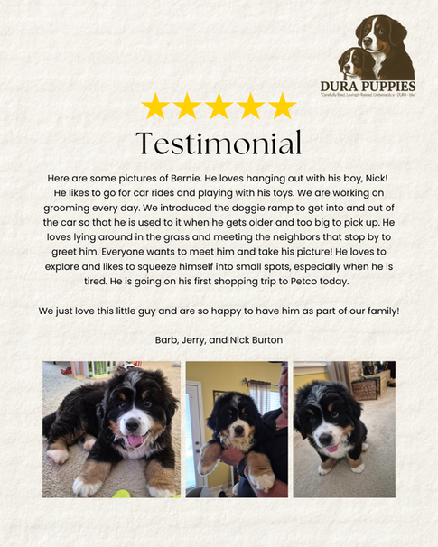 A Glowing Review From A Happy Customer 