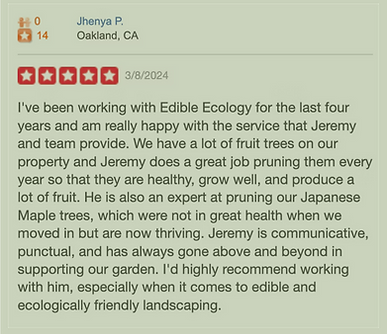 review 1.png