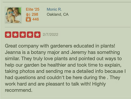 review 3.png