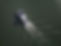 Whit Hassett_Photon ELECTRIC BOAT_IMG_0845.JPG