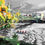 Thumbnail: Black and White: Hammersmith Bridge, West London
