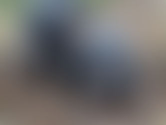 Rooting For Nature - using pigs as a proxy for wild boar.