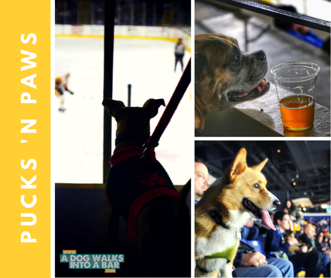 When Dogs, Beer, and Ice Hockey Combine