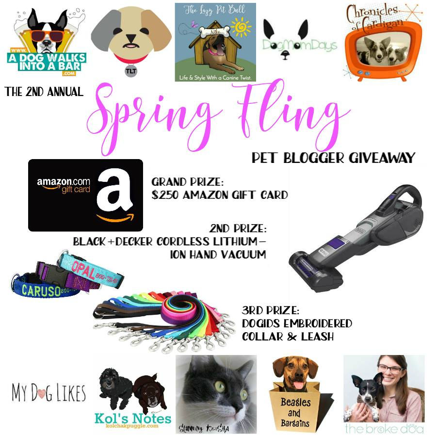 Prizes for the spring fling giveaway