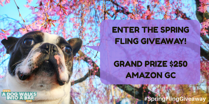 Spring Fling Pet Blogger Giveaway