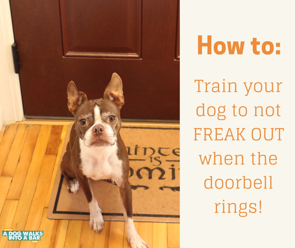 how to train your dog to ring a bell
