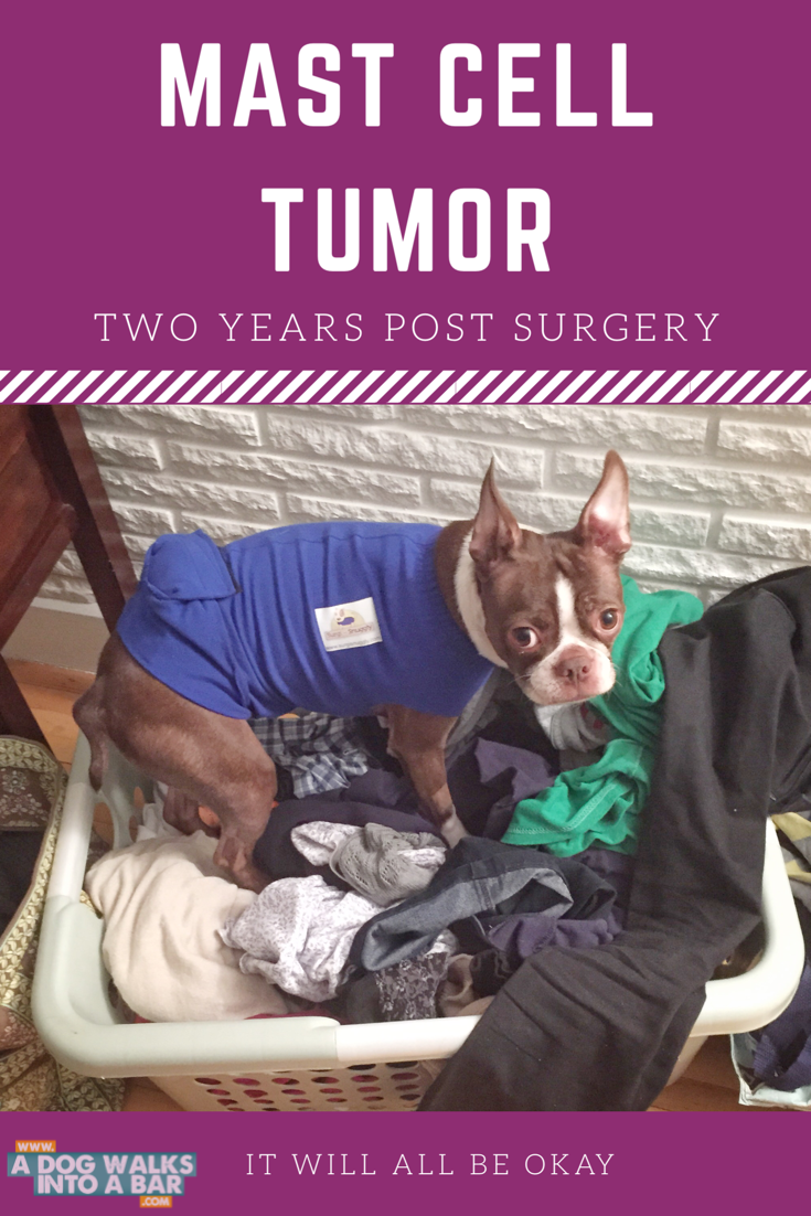 mast cell tumor two years post surgery