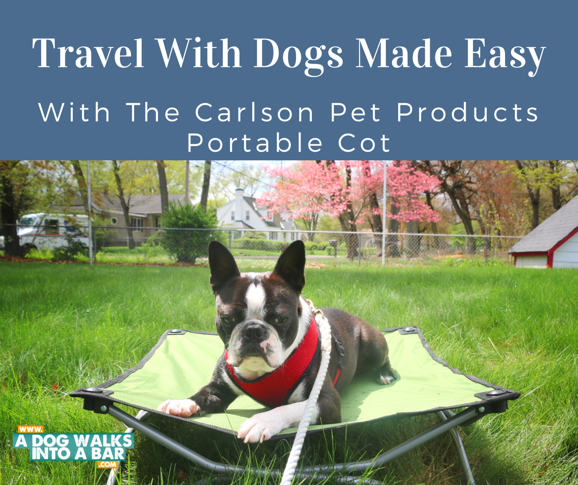dog travel cot