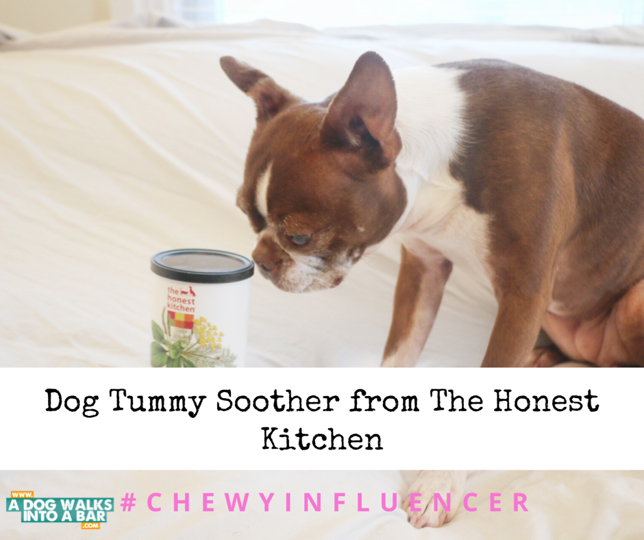 The Honest Kitchen Perfect Form Herbal Dog & Cat Nutritional Supplement