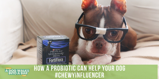 Fewer Poop Problems, thanks to Chewy