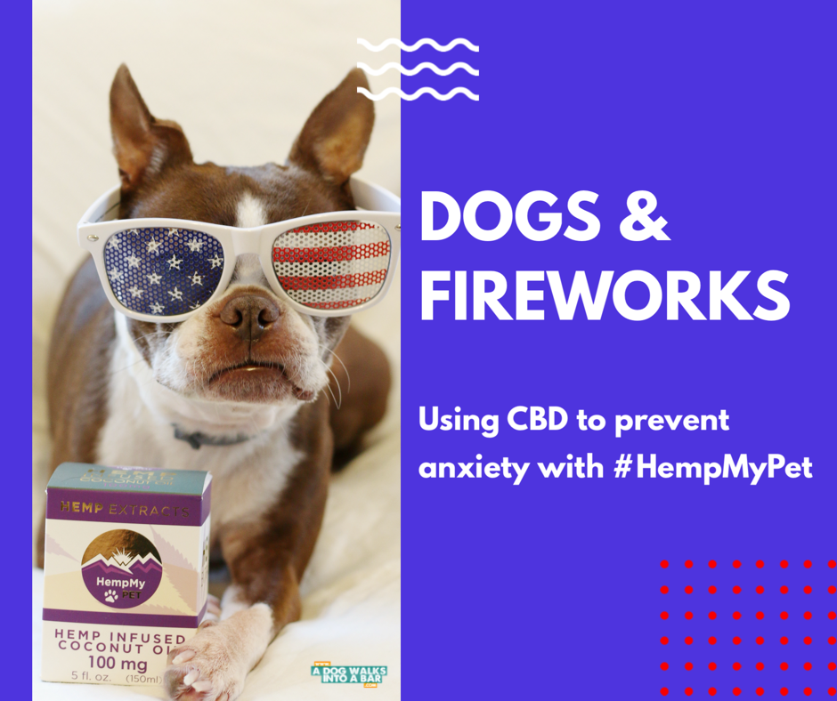 Dogs & Fireworks Using CBD to Prevent Anxiety