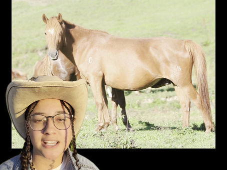 🚨NEW VOLUNTEER🚨