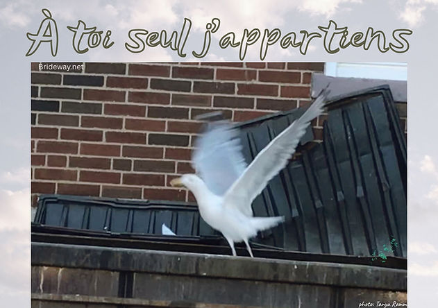 French Bird horizoontal (6 x 9 in) (120 x 170 mm) (170 x 120 mm) (4).jpg