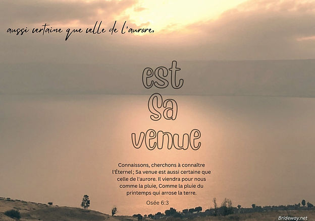 French As sure, as the Dawn Booklet (6 x 9 in) (170 x 120 mm) (8).jpg