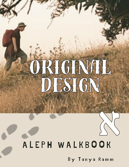 _ ALEPH WALKBOOKK COVER v3.jpg