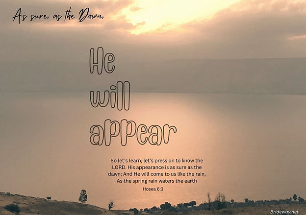 As sure, as the Dawn  Booklet (6 x 9 in) (170 x 120 mm) (10).jpg