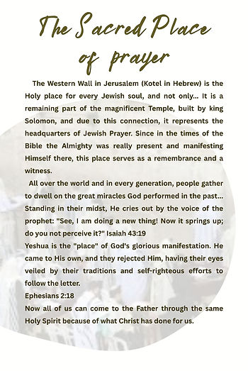 Israel as a mirror for tourist - evangelism (6 x 9 in) (19).jpg