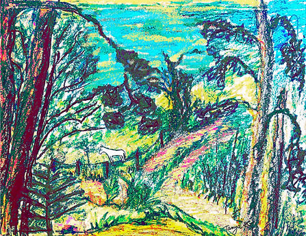 white horse unedited_edited_edited_edite