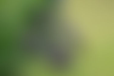 Descubra a nobreza e o valor das joias artesanais