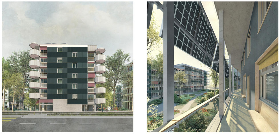 CIPV Arbeiten: Siedlung Altwiesen, ZH (in Ausführung)