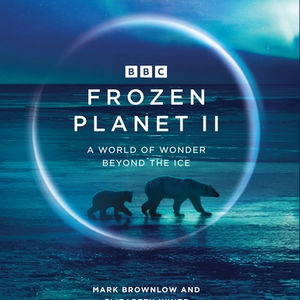 Frozen Planet 2 Poster
