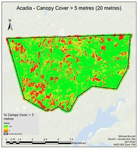 cCover_5m.jpg