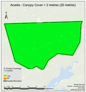cCover_2m.jpg