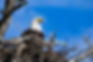 AdobeStock_108051850.jpeg