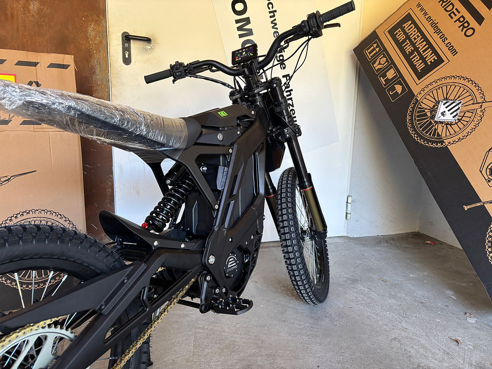 Miniaturbild: E Ride Pro SS 3.0
