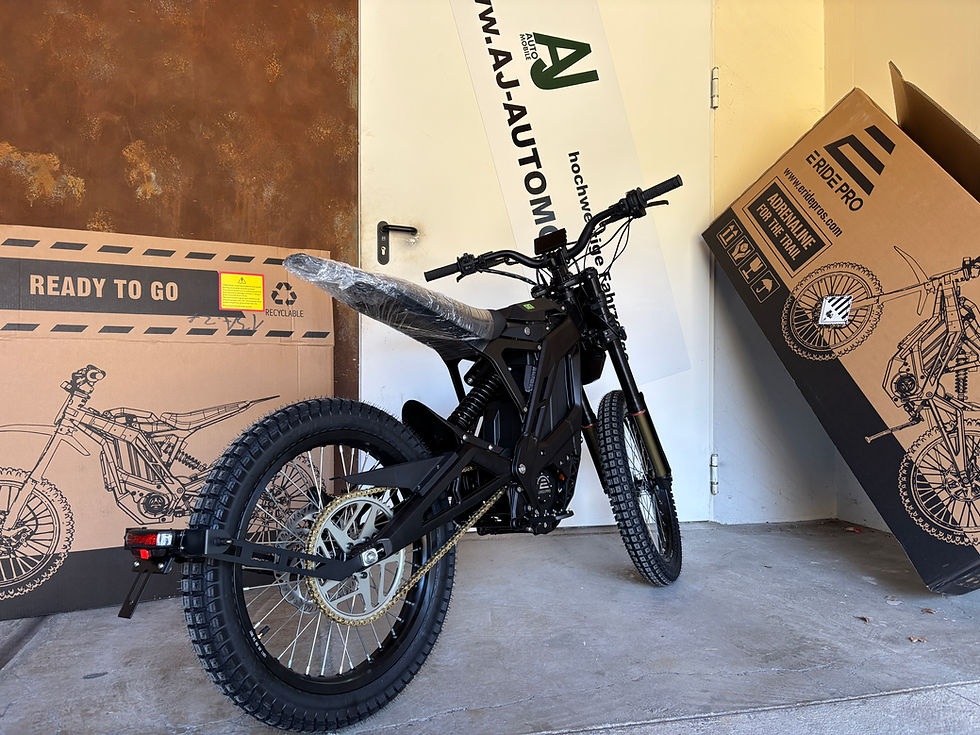 Miniaturbild: E Ride Pro SS 3.0