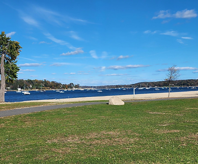 Untitled design (6).png