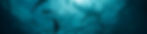 AdobeStock_230014277_edited.jpg