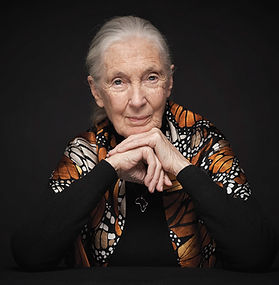Dr. Jane Goodall, DBE