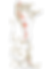 Mappa (2).png
