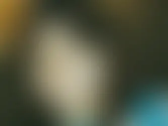 Recognition for a lifetime of dedication