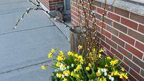 IMG_2538.jpeg