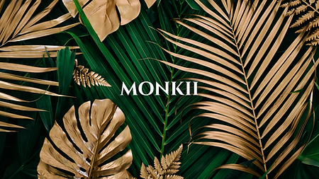 MONKII (2).png