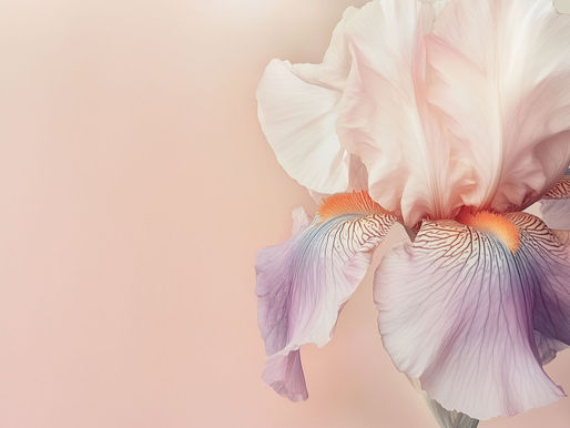 🌬️ When God Summons You (A Raw Thought)