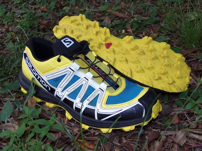 ANÁLISE DO ARANHA - SALOMON FELLRAISER