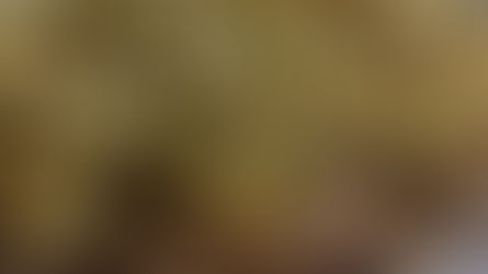 RECEITAS DA PAULINHA - MASSA COM OVO - PRÉ MARATONA