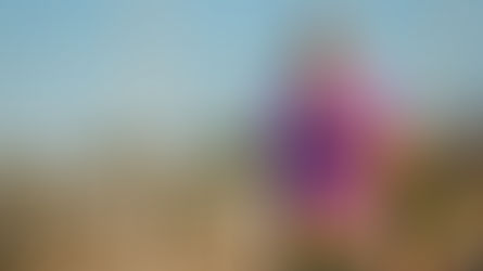 MARATONA DE PORTO ALEGRE - MARCELO WOBETO