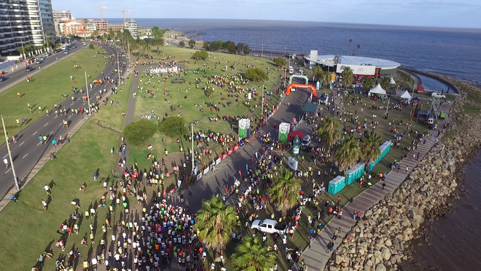 CORRE MONTEVIDEO - FRED JUBATUS