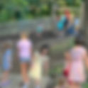 The Guiding Principles of Alabama Waldorf School
