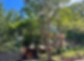 Discovering the Beauty of Alabama Waldorf School